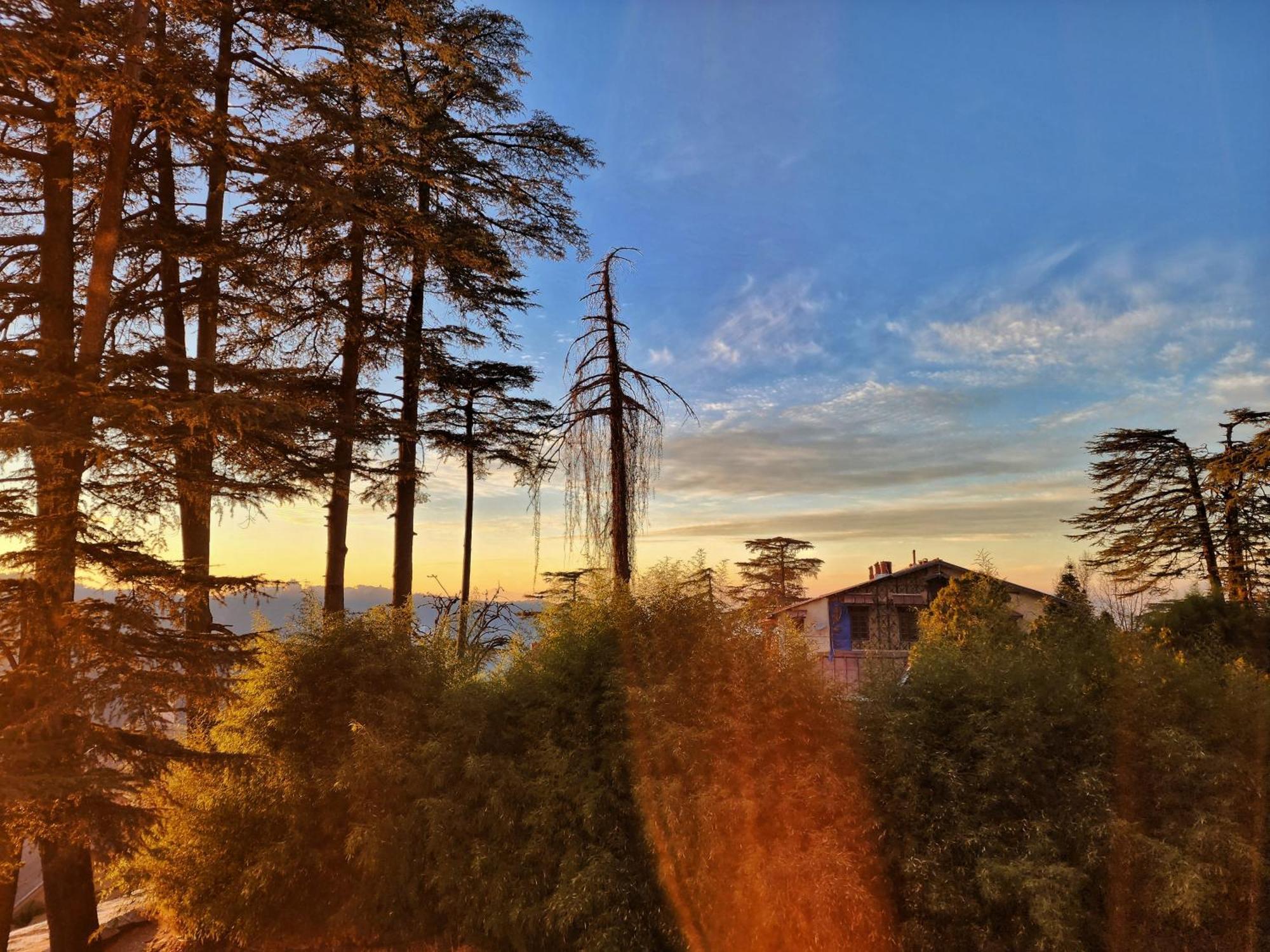 Hotel Pineview Шимла Экстерьер фото