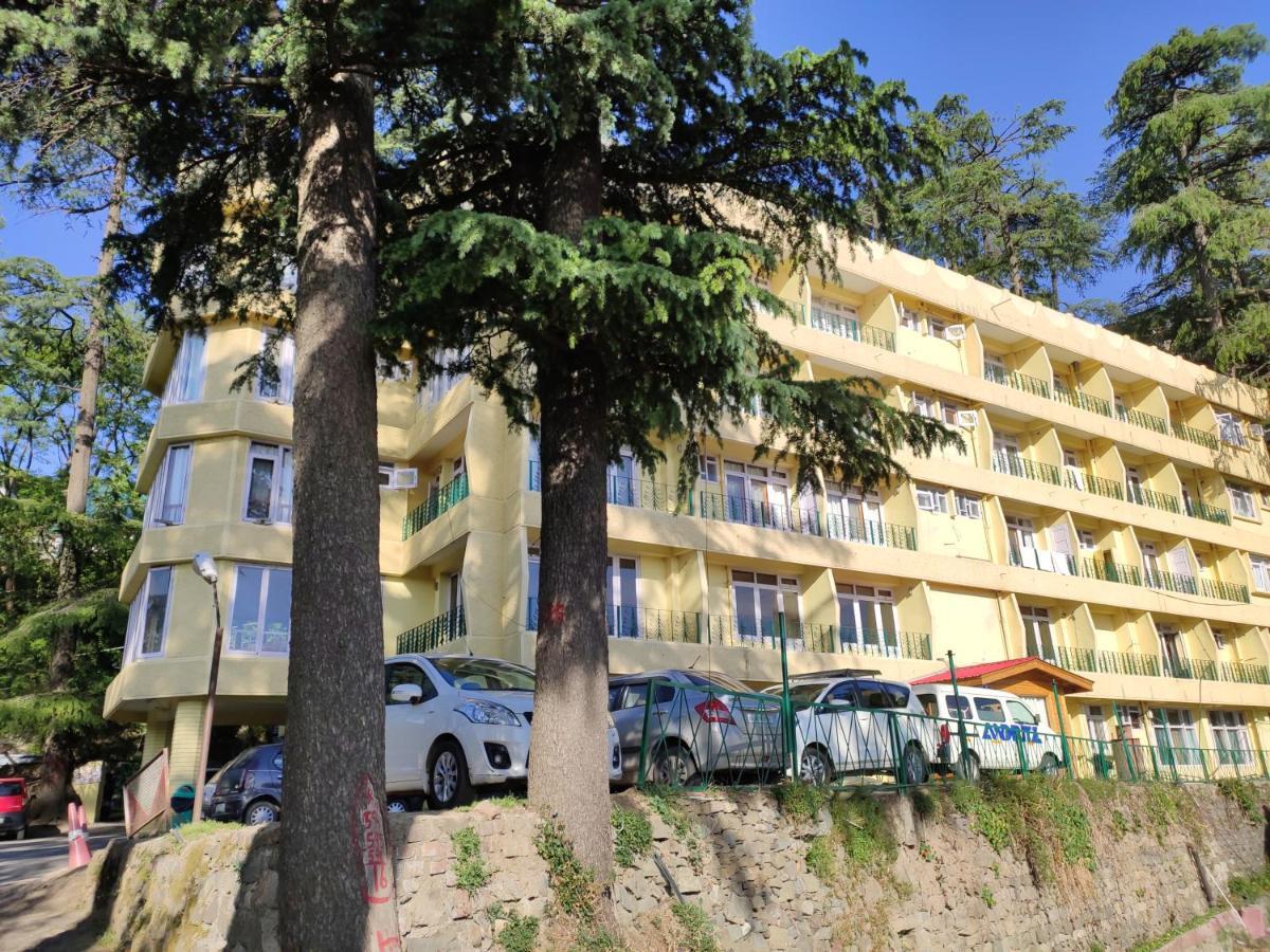 Hotel Pineview Шимла Экстерьер фото